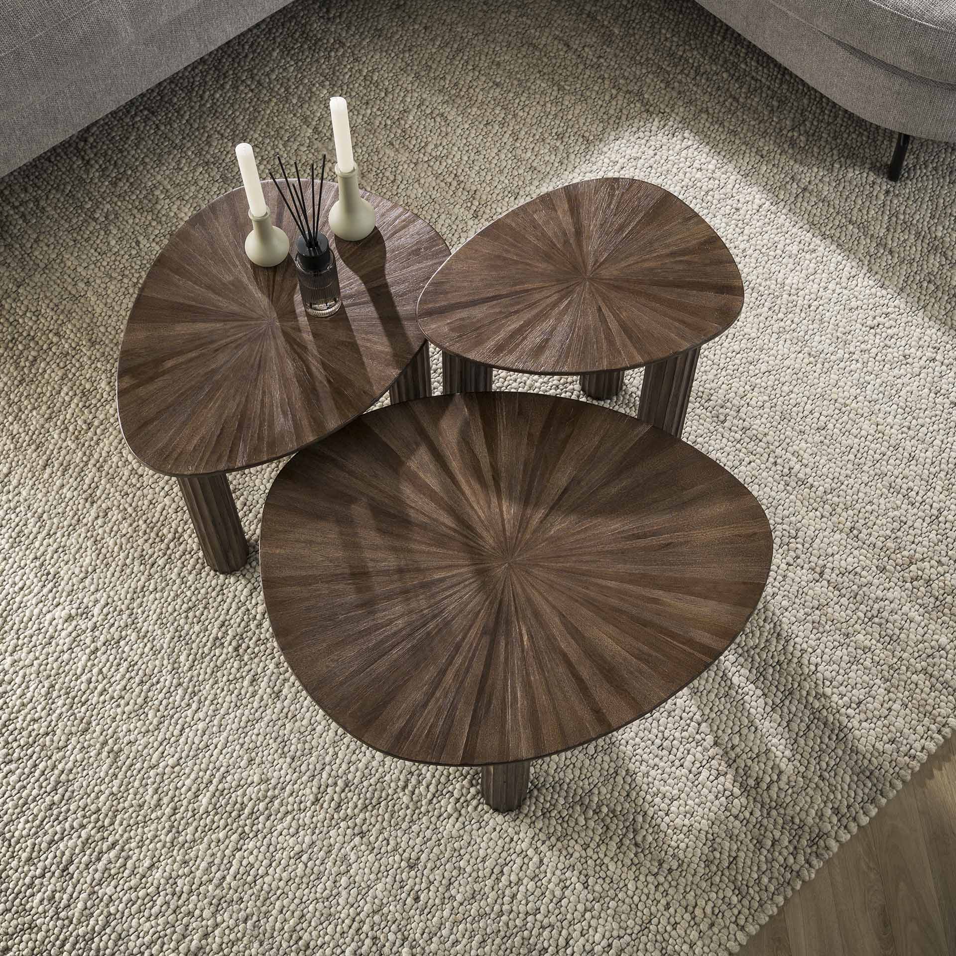 Organische salontafelset van 3 Mia M - Industrieelinhuis.nl