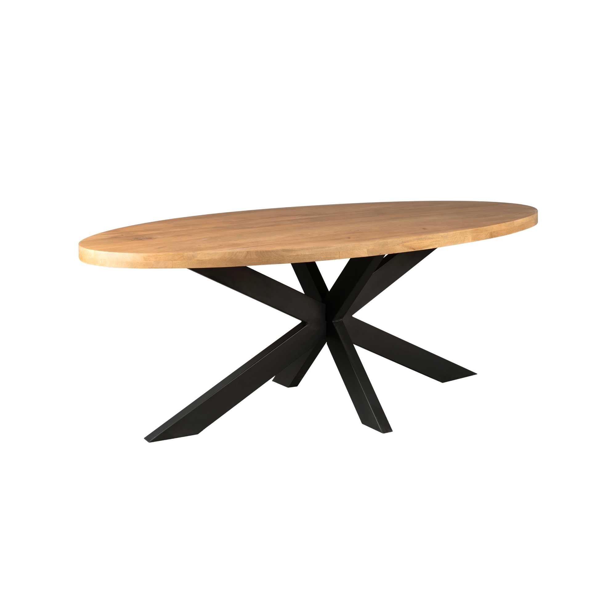 Eettafel Denver | Ovaal | Mangohout Staal | 210 cm