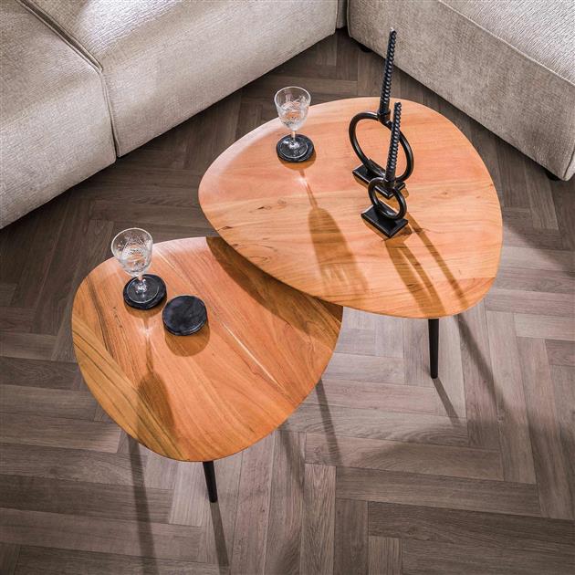 Organische Salontafel set van 2 | Organische Salontafels