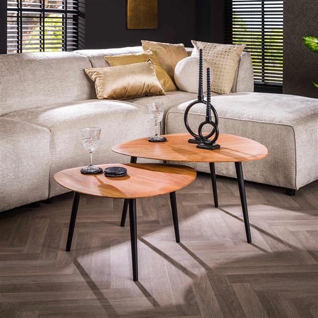Organische Salontafel set van 2 | Organische Salontafels