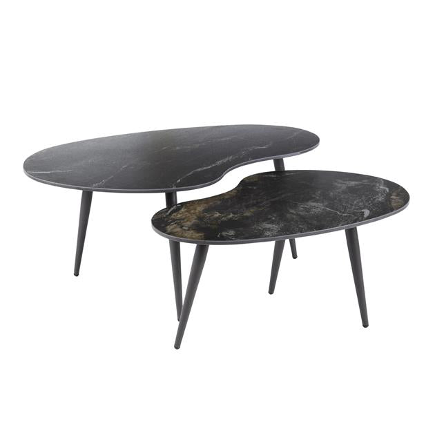 Salontafel set van 2 Fossil | Organische Salontafels
