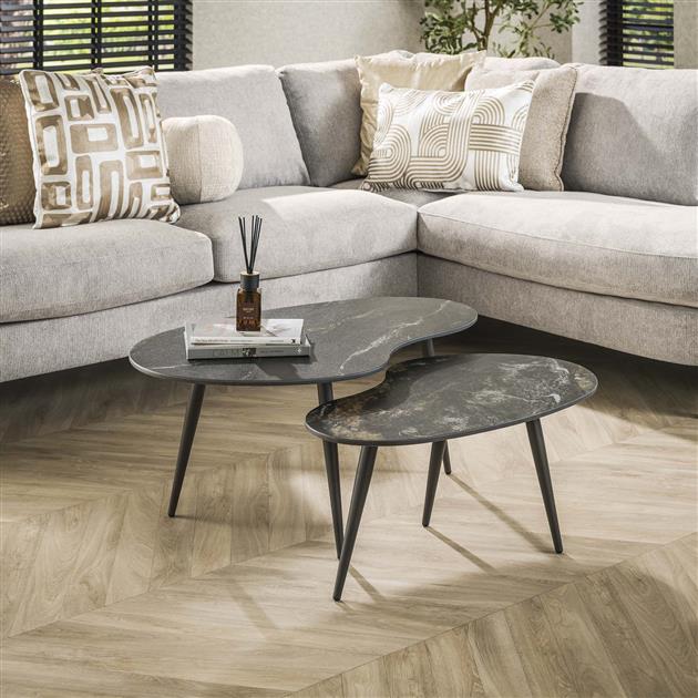 Salontafel Fossil niervormig set/2