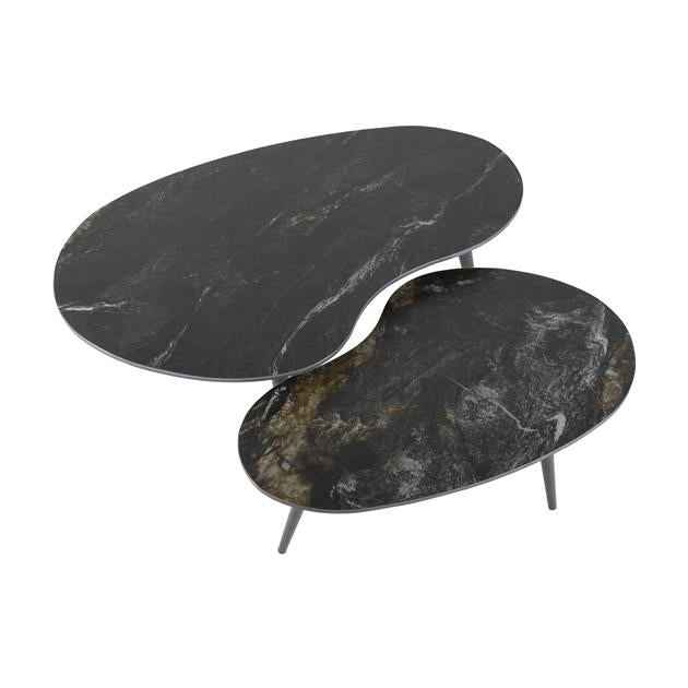 Salontafel Fossil niervormig set/2