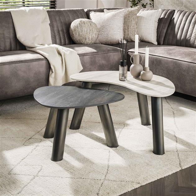 Salontafel set van organisch Twin