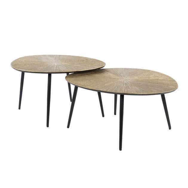 Salontafelset van 2 Goud Ray | Organische Salontafels