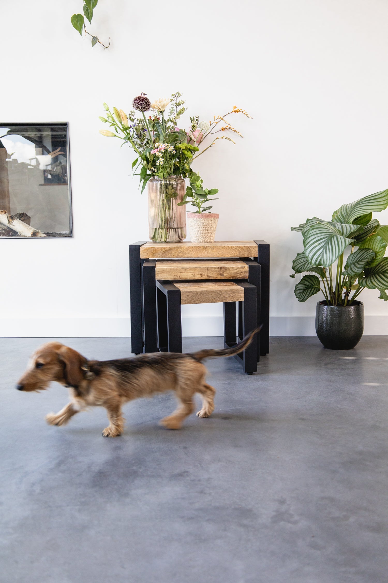 Salontafel set van 3 Industrieel Design | Mangohout en Staal | 60x35x48cm